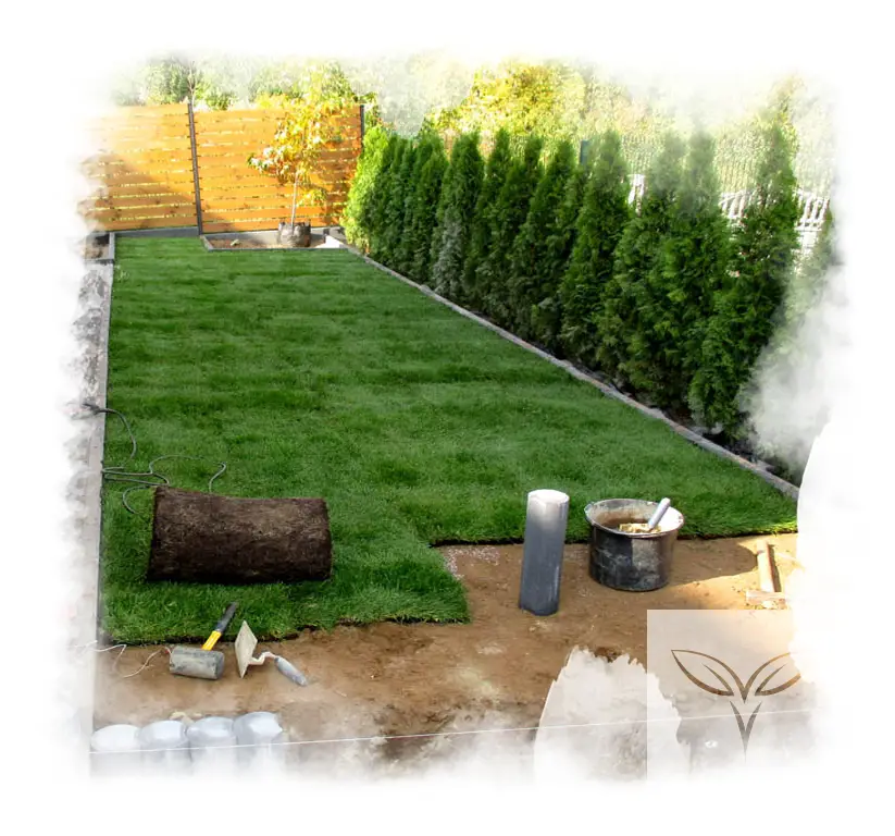 Zakładanie Trawnika Z Rolki Cennik Vera Garden Trawniki Firma Ogrodnicza